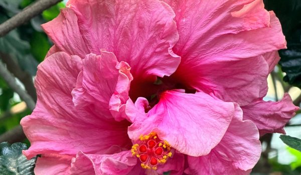 WhatsApp Image 2026-03-12 at 14.42.47